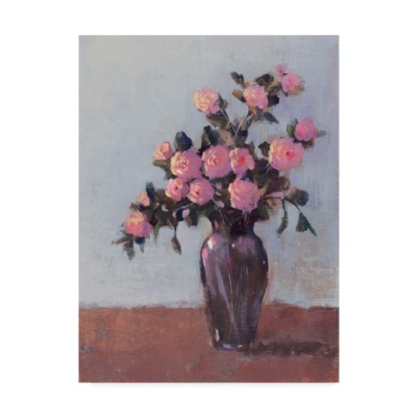 Trademark Fine Art Tim Otoole 'Soft Lit Roses I' Canvas Art, 35x47 WAG05347-C3547GG